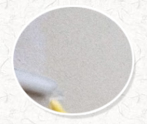 博贏(yíng)建筑